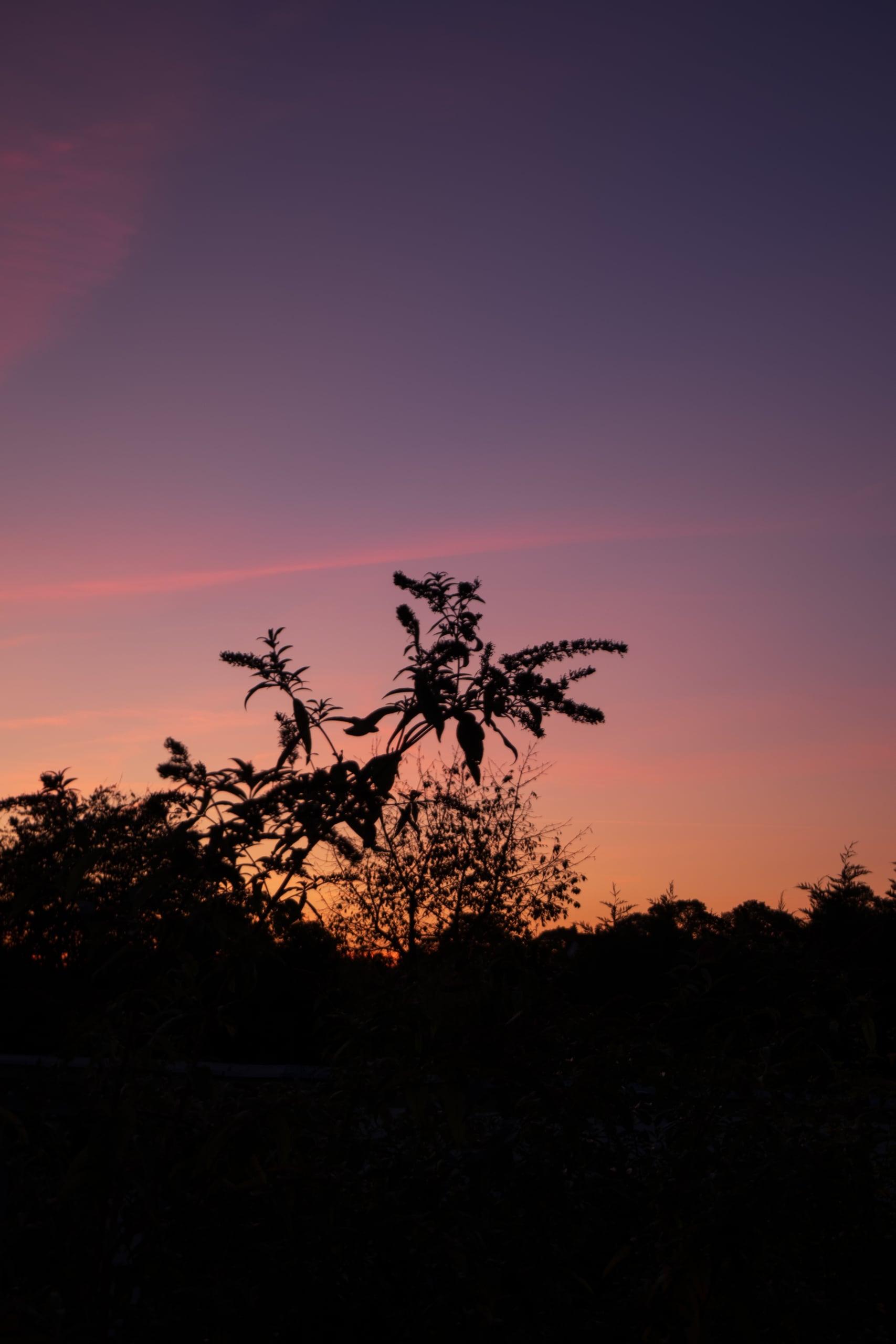 Natura, Deutschland — Bild 11