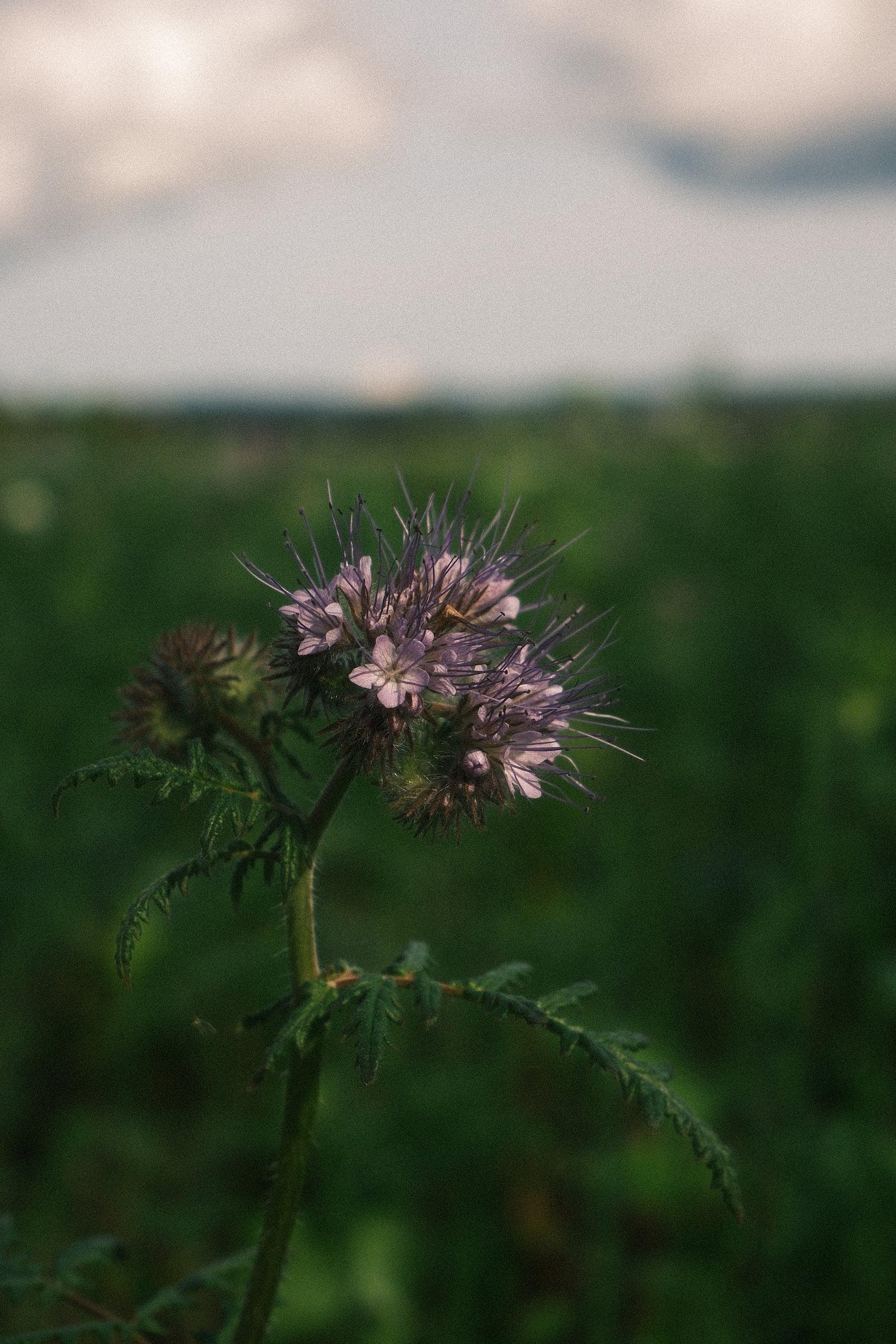 Natura, Deutschland — Bild 7