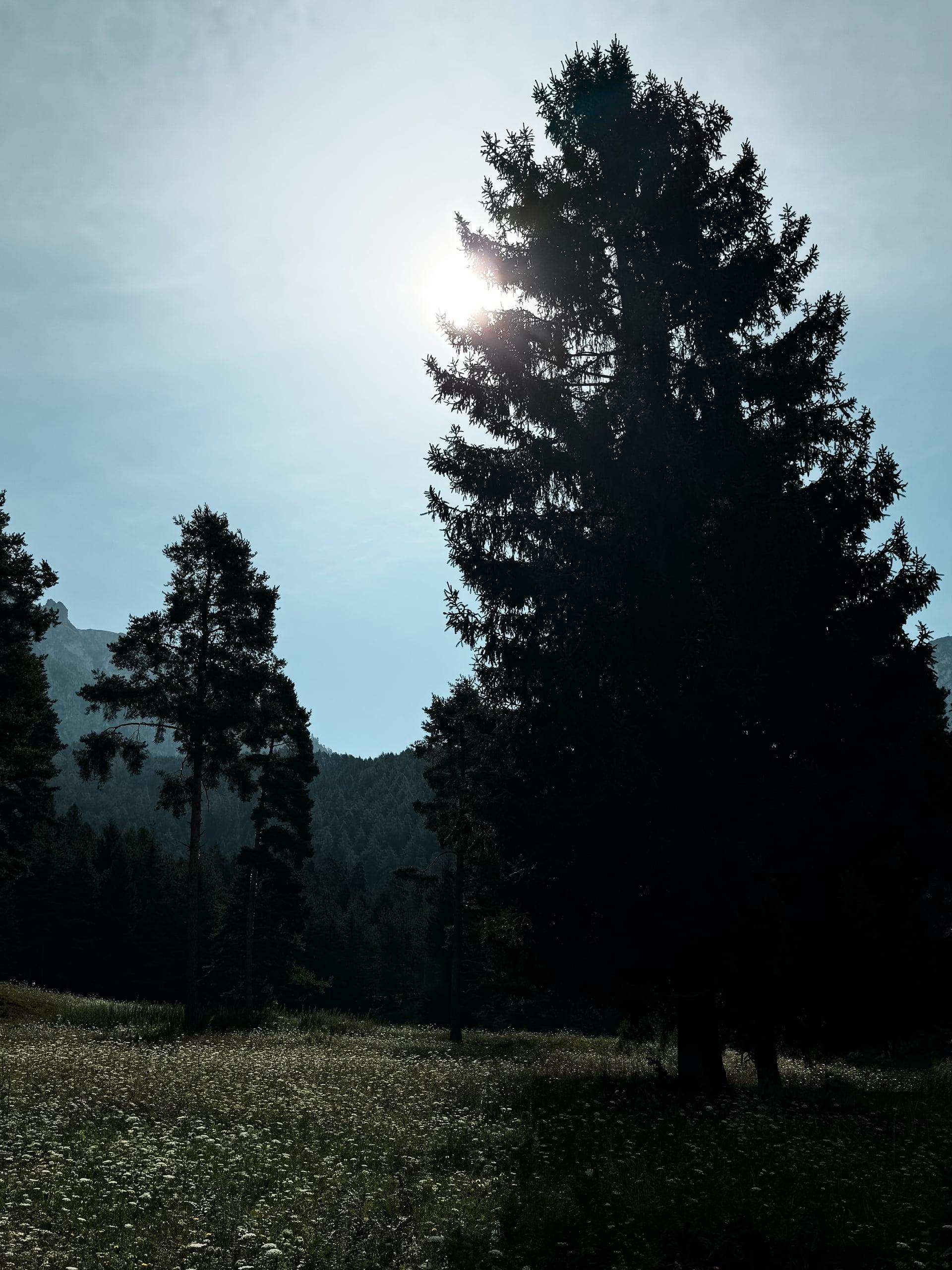 Dolomiten Road Trip, Italien — Bild 6