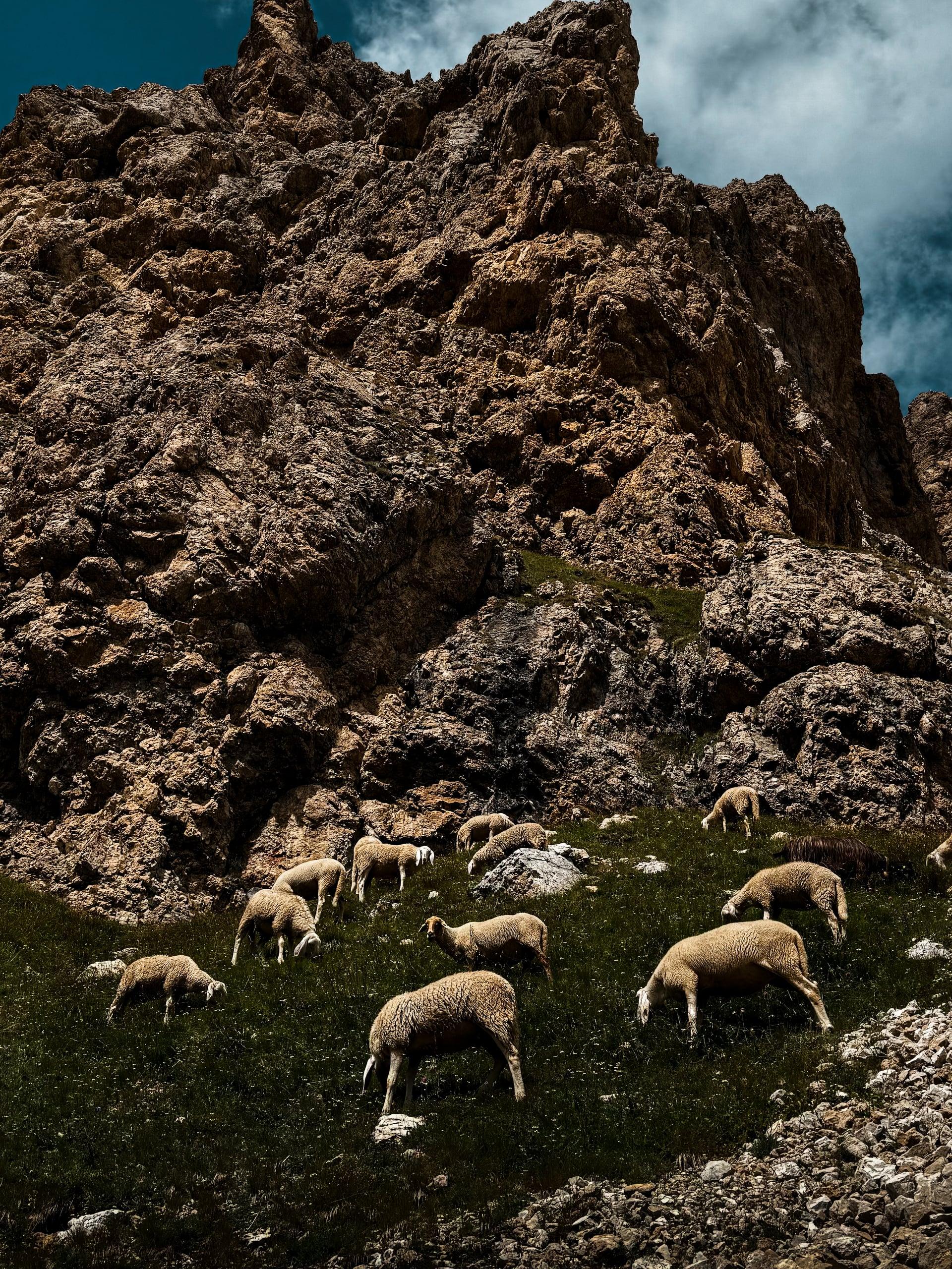 Dolomiten Road Trip, Italien — Bild 16